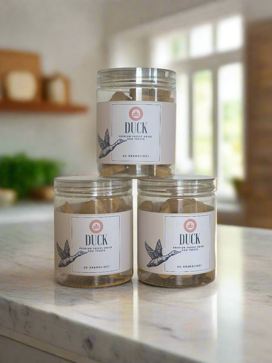 Freeze Dried Duck & Pumpkin